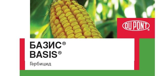 Базис, СТС 100 гр послевсходовый гербицид