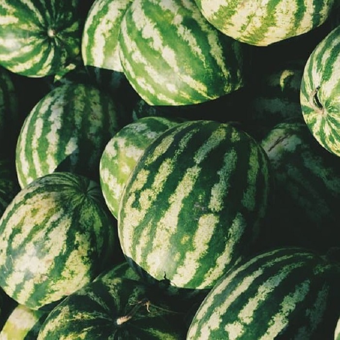 Барака F1 1000 штук семена арбуза