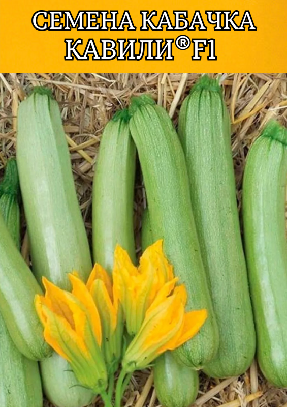 Кавили F1 семена кабачка