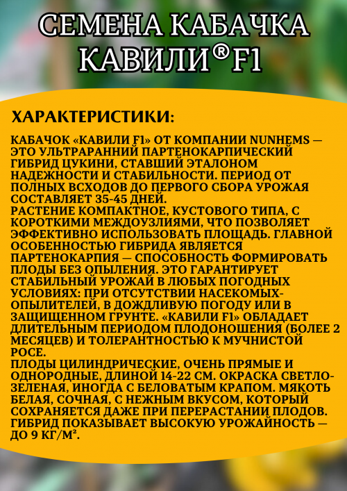 Кавили F1 семена кабачка