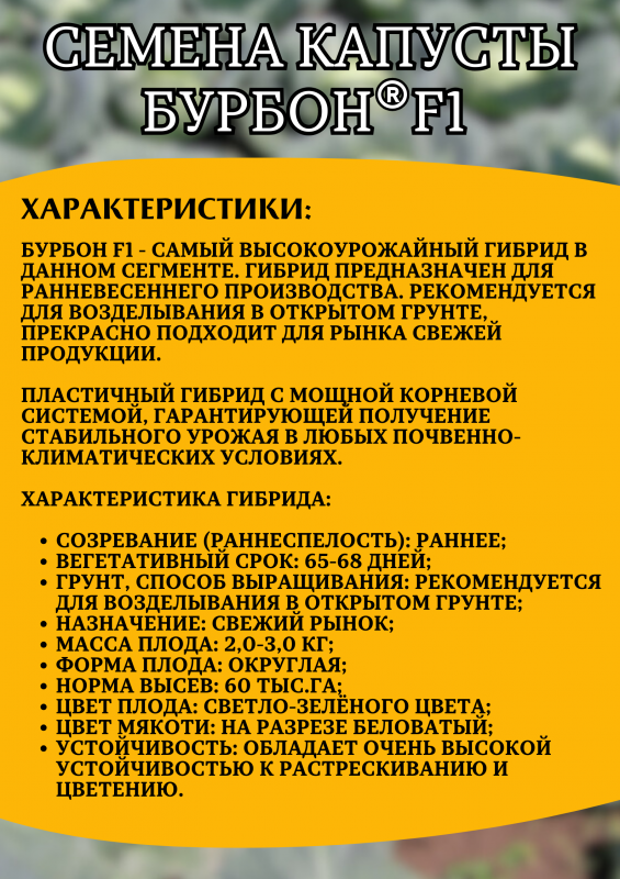 Бурбон F1 2500 штук семена капусты белокочанной
