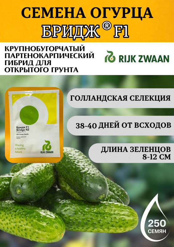 Бридж F1 семена огурца