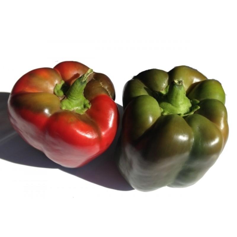 Телестар F1 1000 штук семена сладкого перца