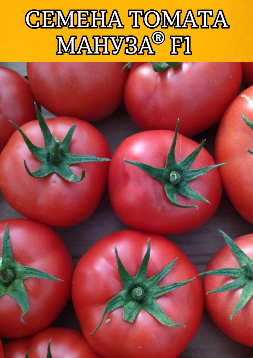 Мануза F1 штук семена томата