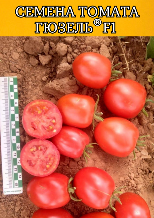 Гюзель F1 семена томата