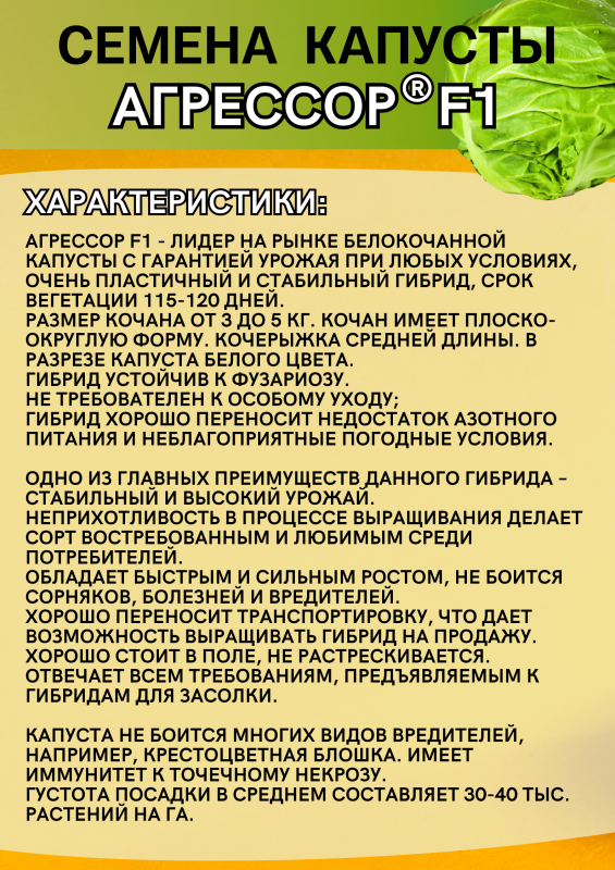 Агрессор F1 семена капусты белокочанной