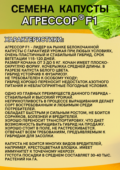 Агрессор F1 семена капусты белокочанной