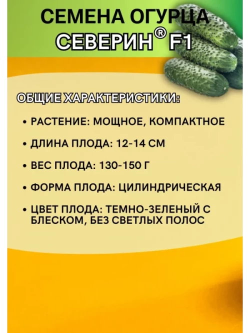 Северин F1 семена огурца