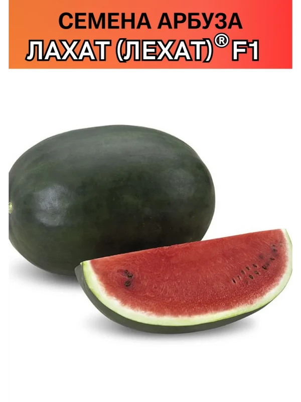 Лехат (Лахат) 1000 штук семена арбуза