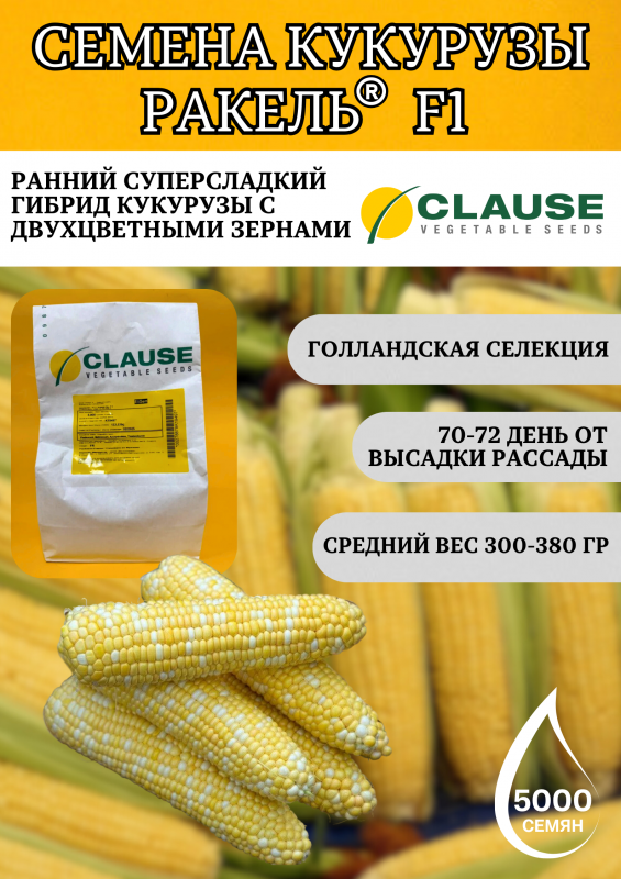 РАКЕЛЬ F1 / RAQUEL F1 Clause Кукуруза биколор 5000 семян