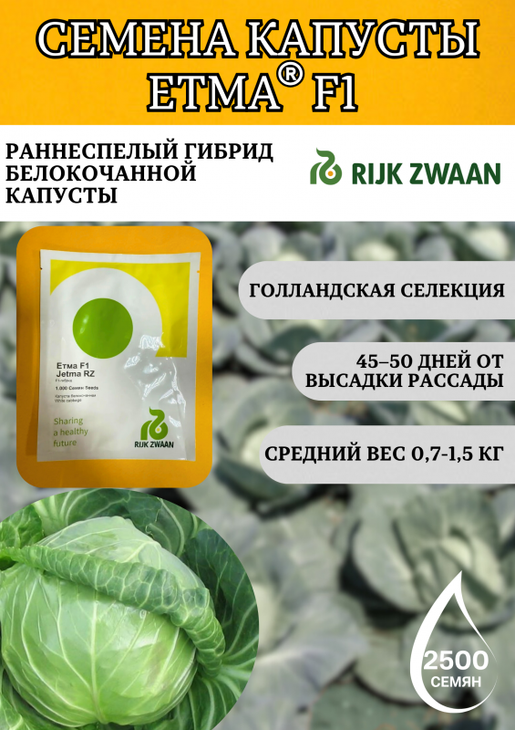 Етма F1 семена капусты белокочанной