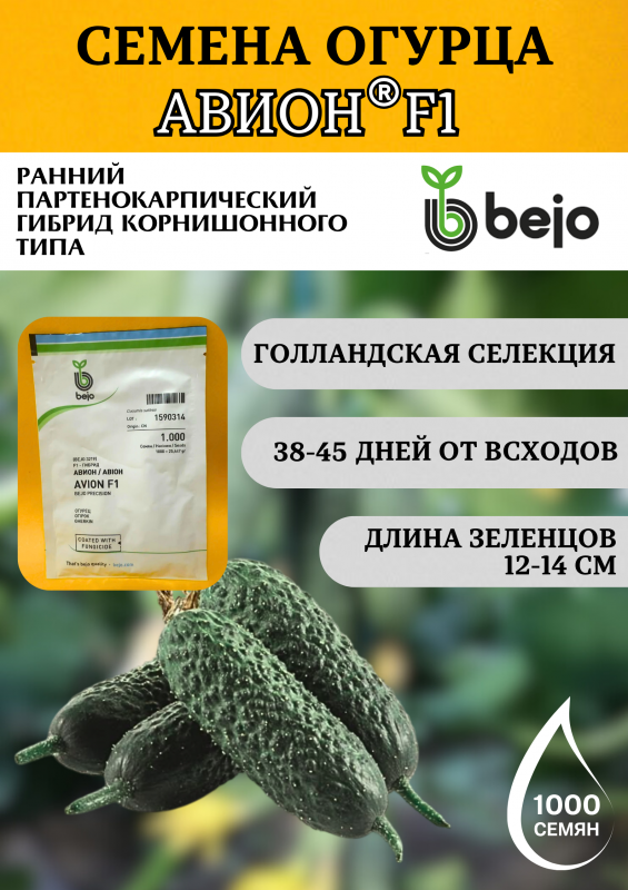 Авион F1 семена огурца