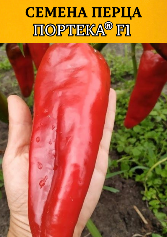 Портека F1 100 штук семена перца сладкого