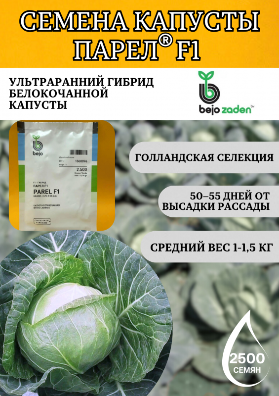 Парел F1 2500 штук семена капусты белокочанной