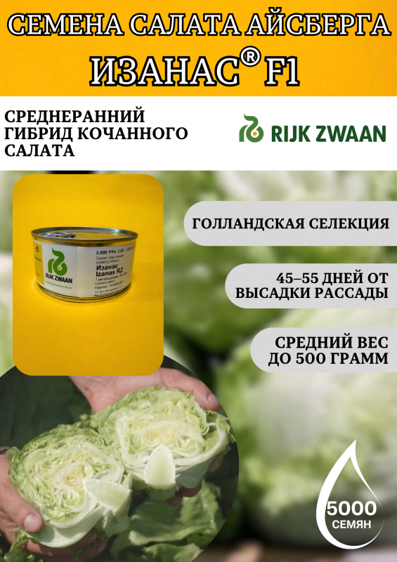 ИЗАНАС семена салата айсберг