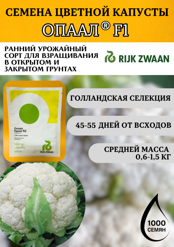 Опаал 1000 штук семена цветной капусты
