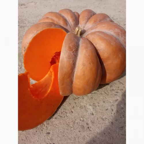 Мускат де Прованс (Мускатная прованская) 500 грамм семена тыквы