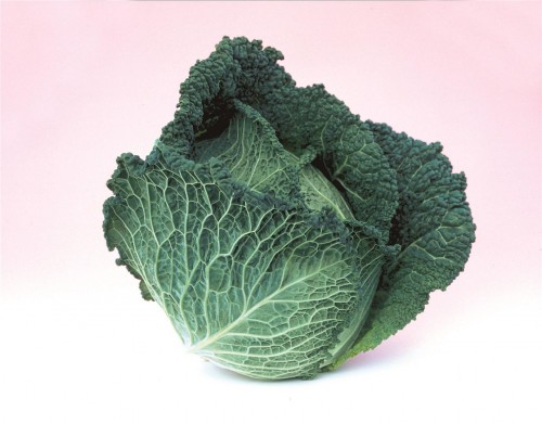 Оваса F1 семена савойской капусты 2500 штук