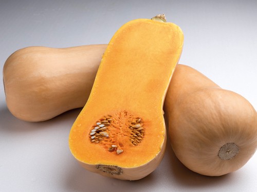 Хавана F1 тыква 500 семян