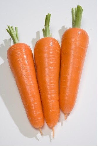 Коралина F1 морковь 100 000 семян