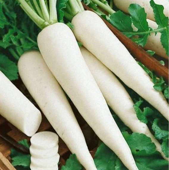 Мино Самэ Крос F1 дайкон 10 000 семян