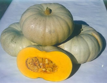 Краун Принц F1 тыква 1000 семян