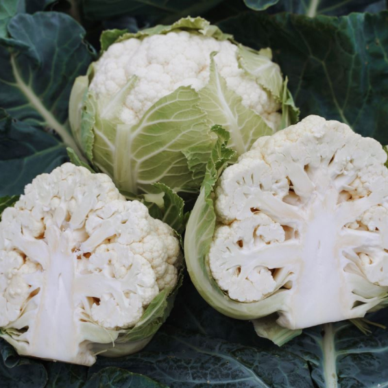 Алмагро F1 капуста цветная 2500 семян