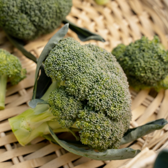 Бести F1 брокколи 2500 семян